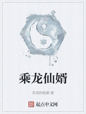  乘龙仙婿